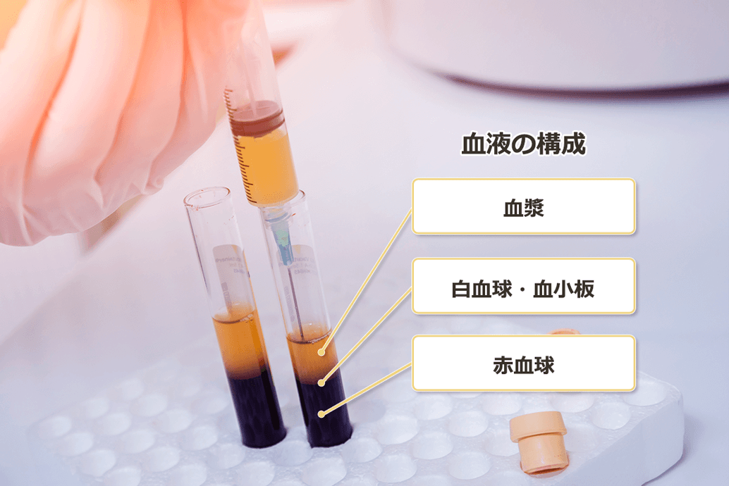 PRP 血液の構成